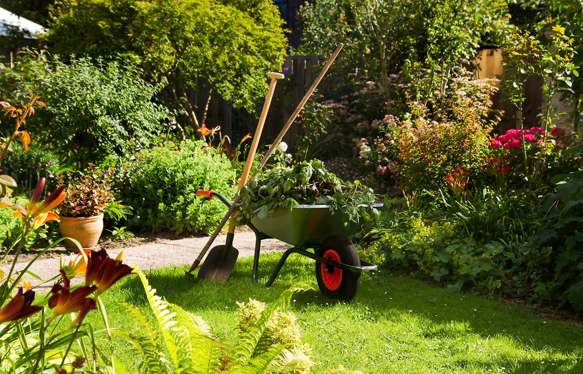 Verzorgde tuin met kruiwagen en gereedschap